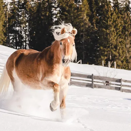 Traumhotel Alpina Superior (adults Only) Герлос